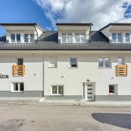 ゲストハウス Viktor 3*