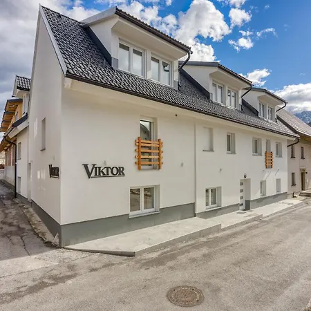 ゲストハウス Viktor