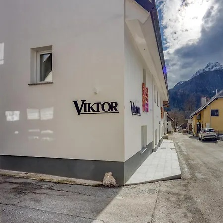 Viktor ゲストハウス 3*