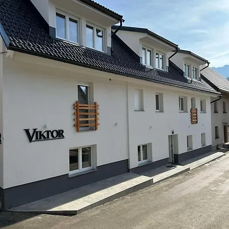 Viktor Guest house *
